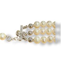 Pulsera Mandile 1922 Mujer Cammei  in Plata Conchiglia 2KK52410 - 2KK52410